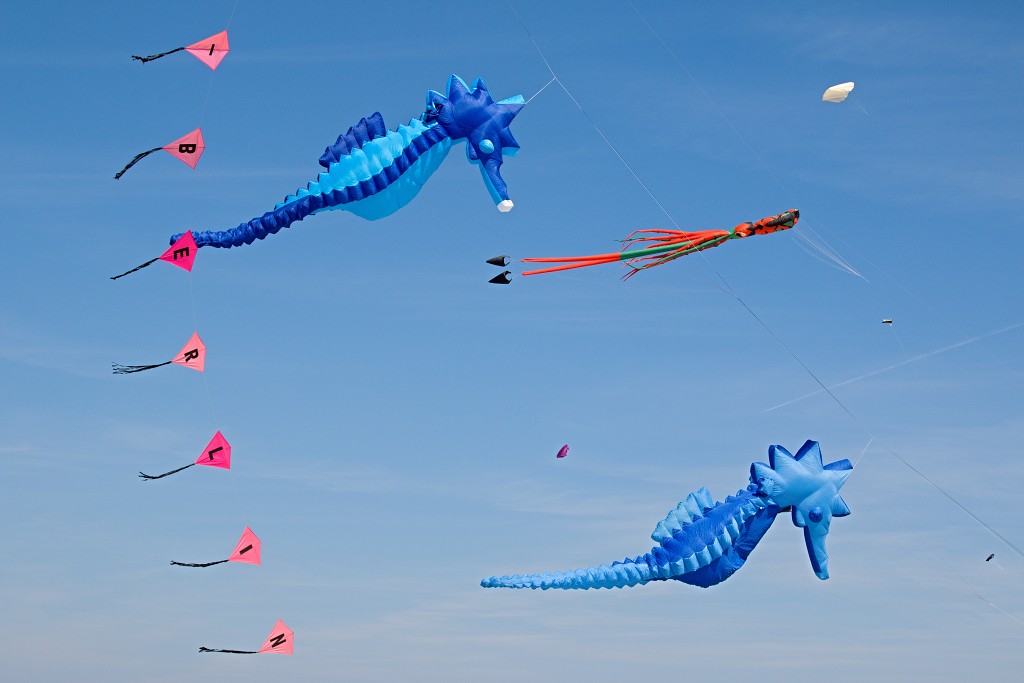 Cerfs-Volants vliegerfestival festival festiviteit evenement event berck sur mer vlieger speelgoed strand